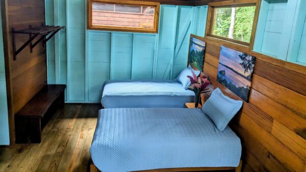 A room with two beds and blue walls